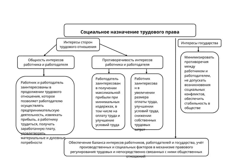 Социальное назначение трудового права 1