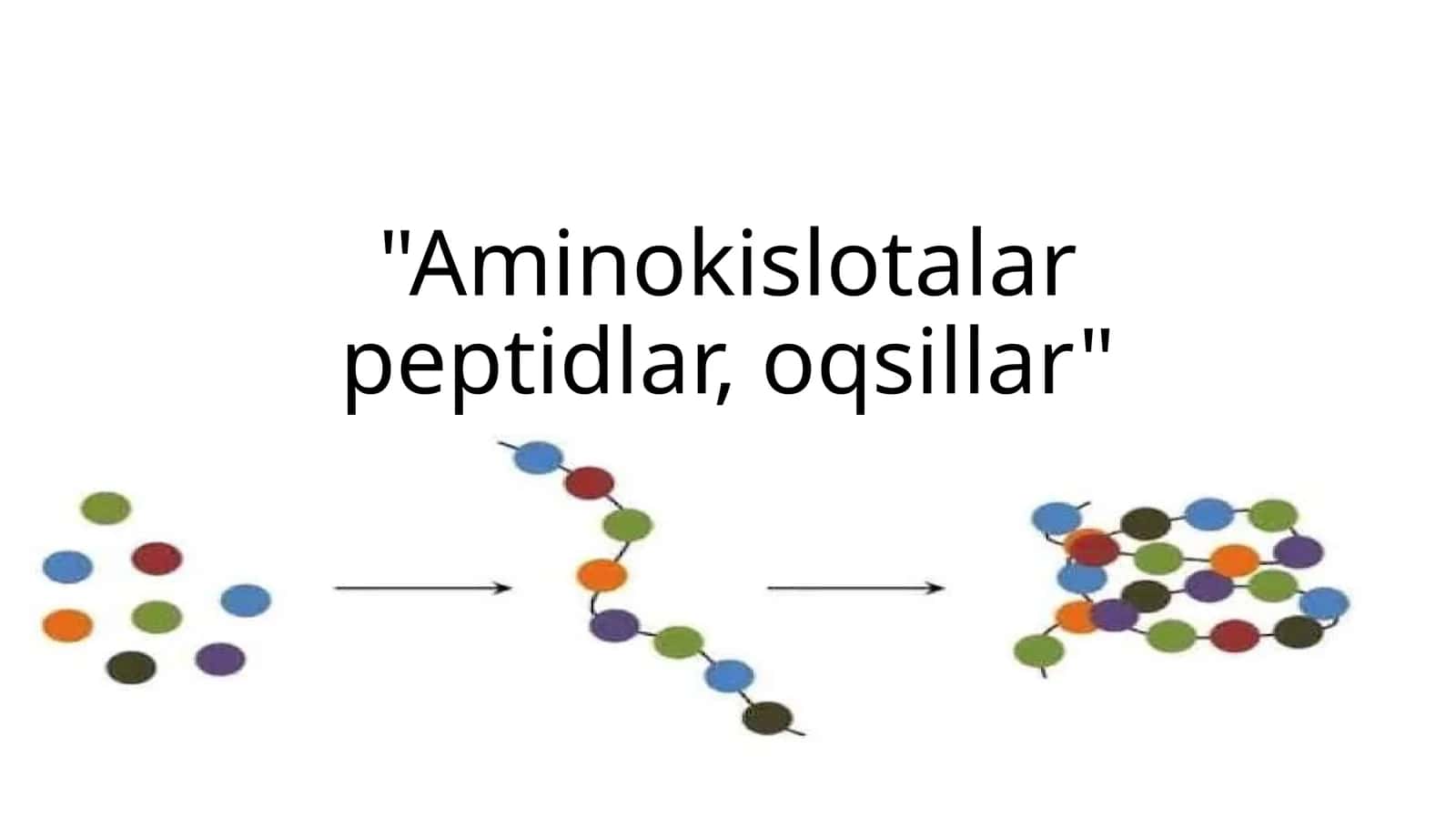 AMINOKISLOTALAR PEPTIDLAR ,OQSILLAR 1