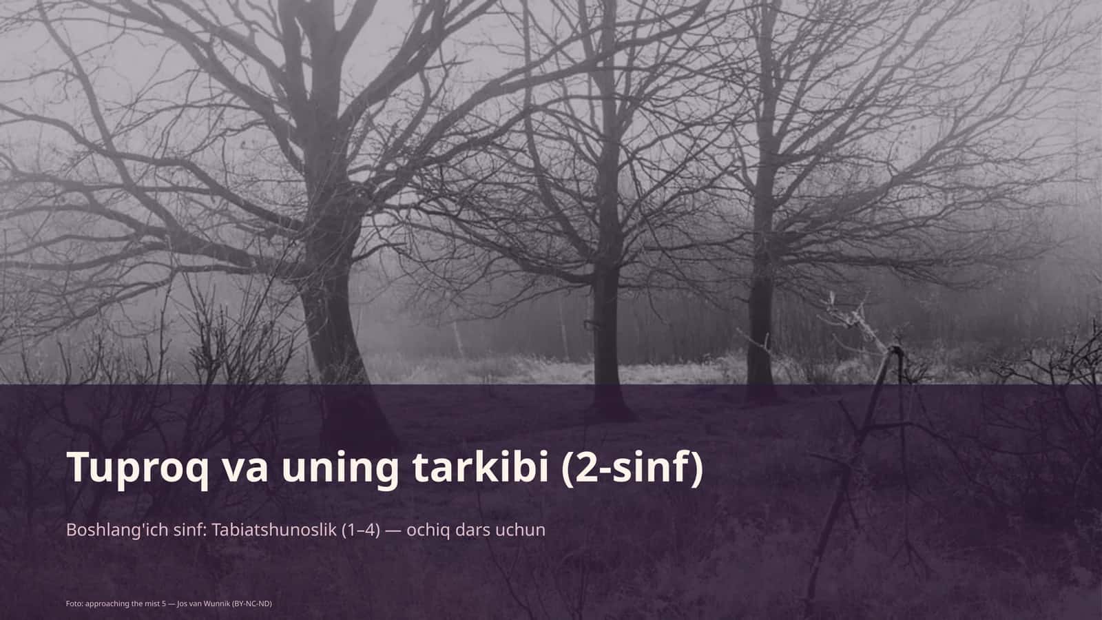 Tuproq va uning tarkibi (2-sinf) 1
