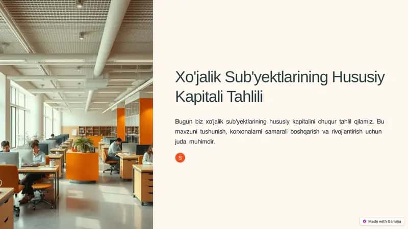 Hususiy Kapital Tahlili 1