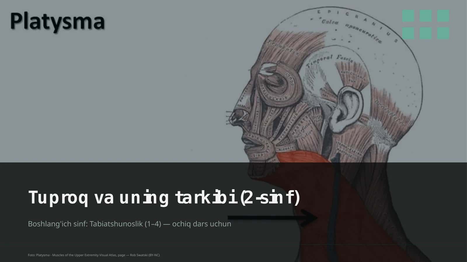 Tuproq va uning tarkibi (2-sinf) 1