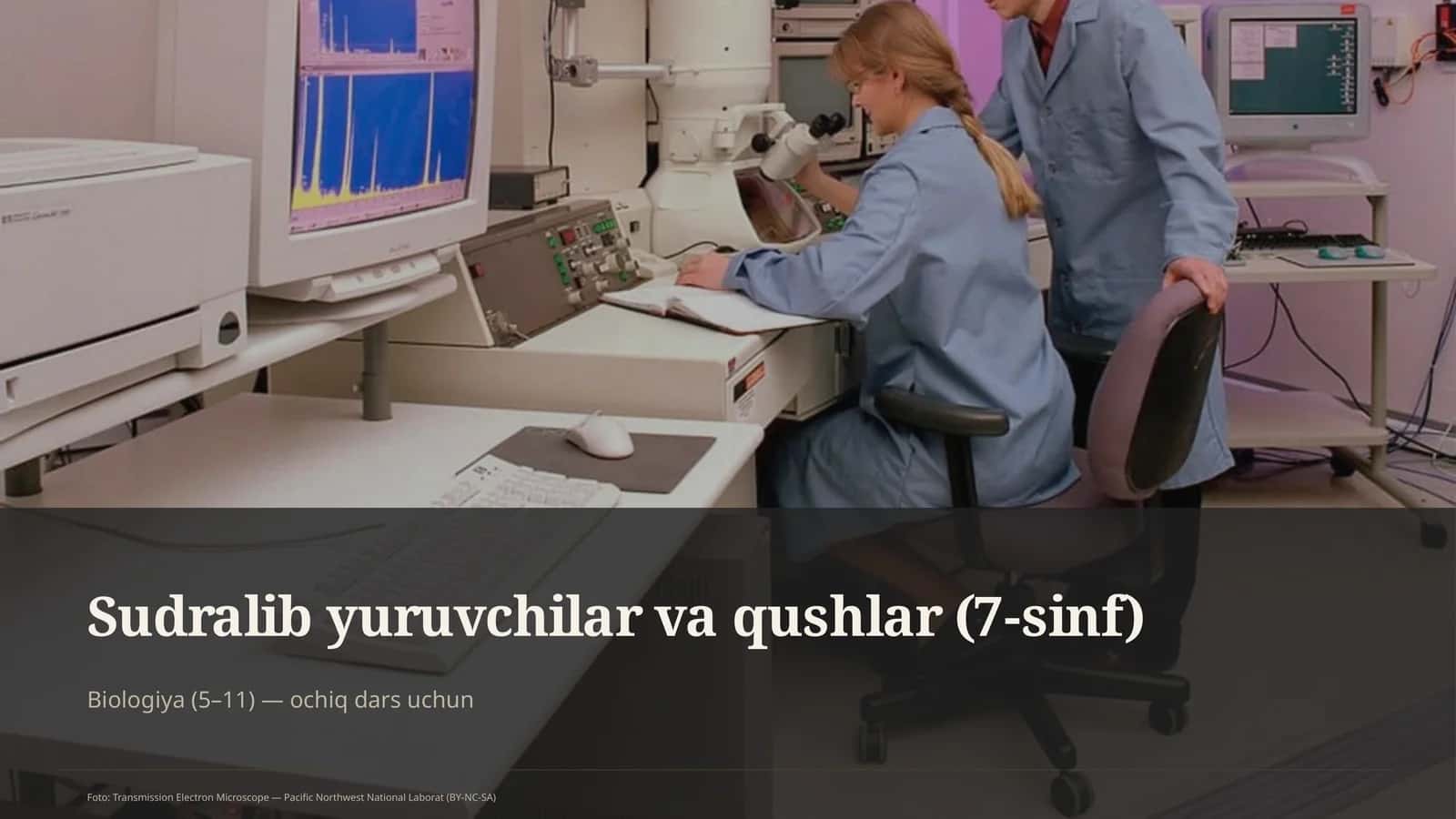 Sudralib yuruvchilar va qushlar (7-sinf) 1