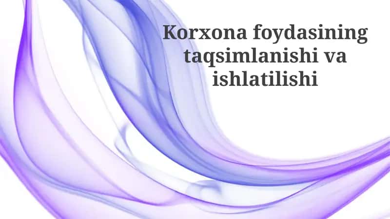 Korxona foydasining taqsimlanishi va ishlatilishi 1