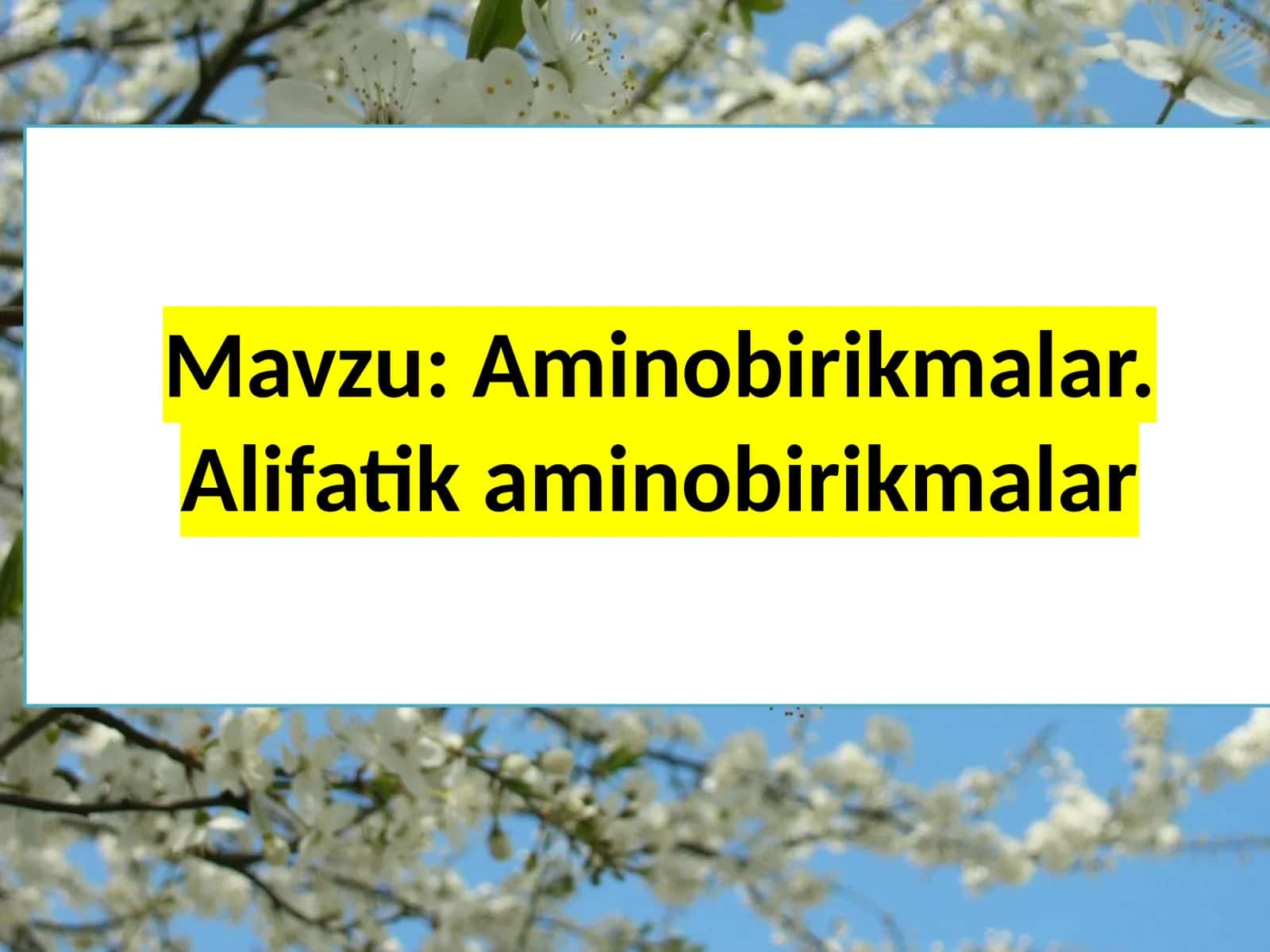 Amino birikmalar. Alifatikamino birikmalar 1
