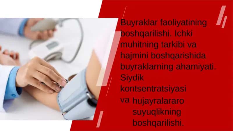 Buyraklar faoliyatining boshqarilishi 1