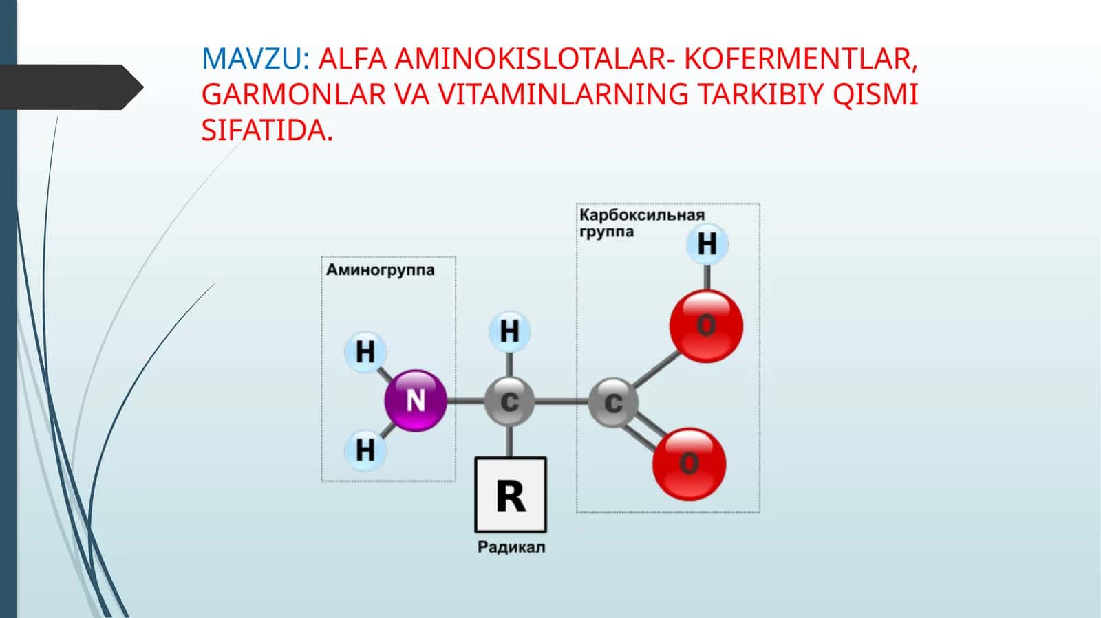 ALFA AMINOKISLOTALAR- KOFERMENTLAR, GARMONLAR VA VITAMINLARNING TARKIBIY QISMI SIFATIDA 1