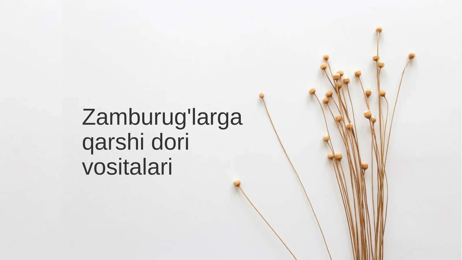 Zamburug'larga qarshi dorivorlari 1