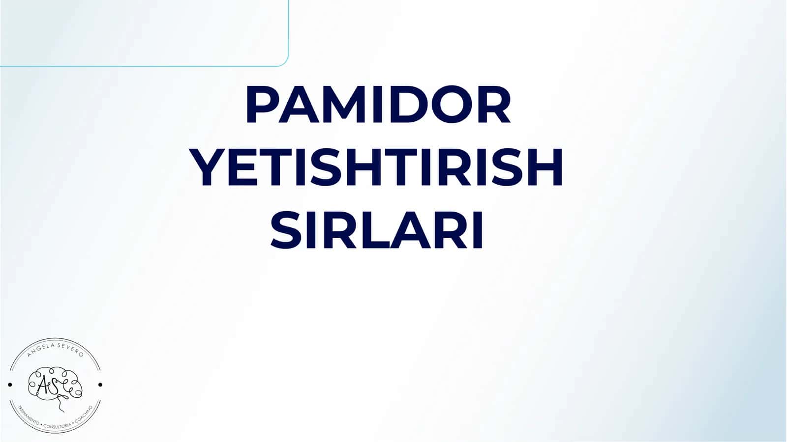 Pamidor Yetishtirish Sirlari 1