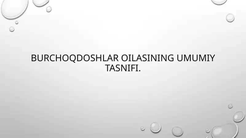 Burchoqdoshlar oilasining umumiy tasnifi 1