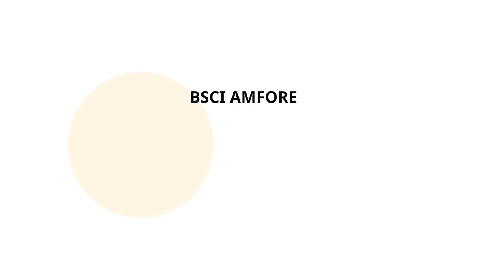 BSCI AMFORE 1