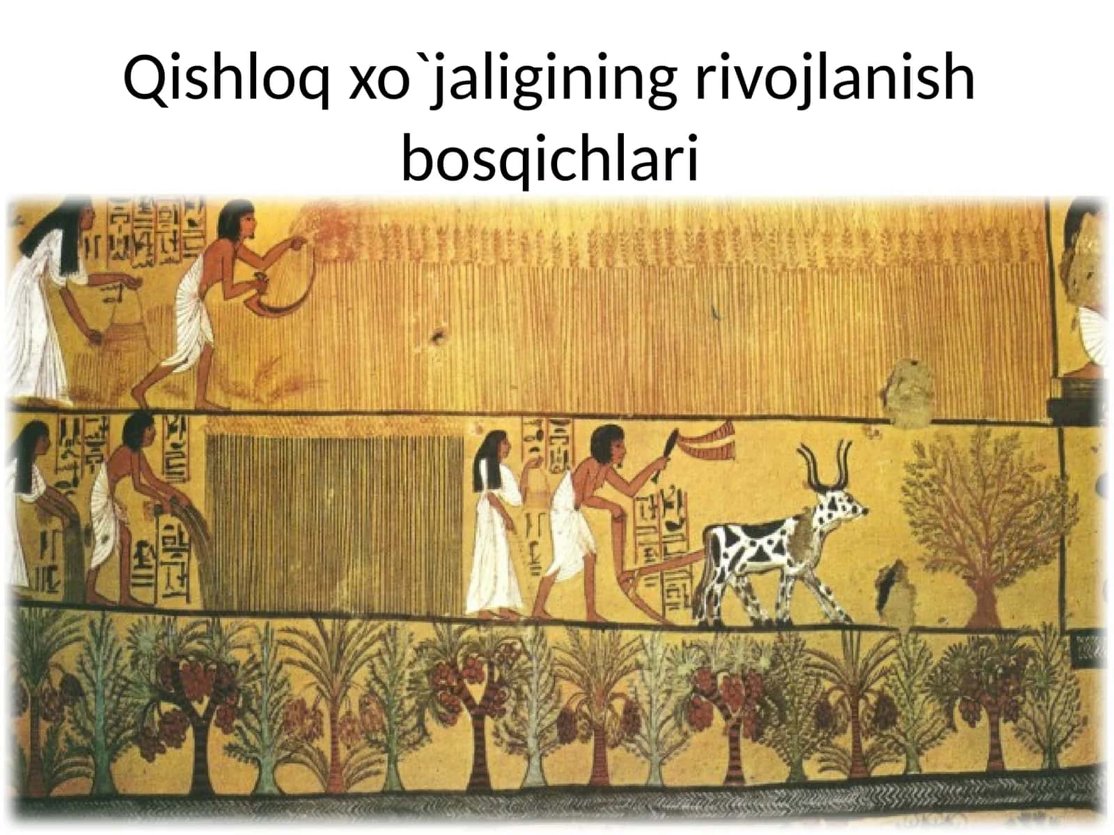 Qishloq xo`jaligining rivojlanish bosqichlari 1
