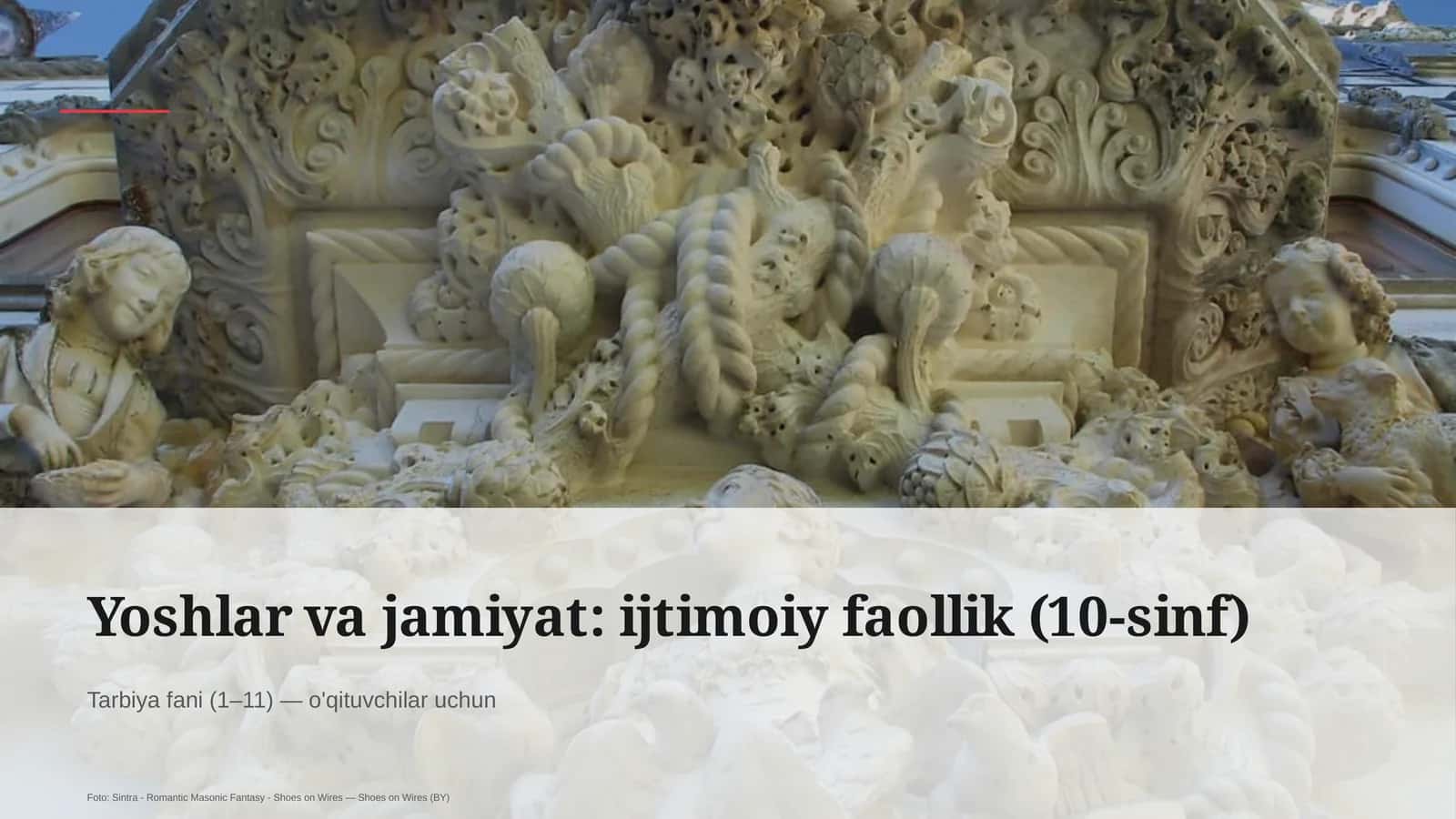 Yoshlar va jamiyat: ijtimoiy faollik (10-sinf) 1