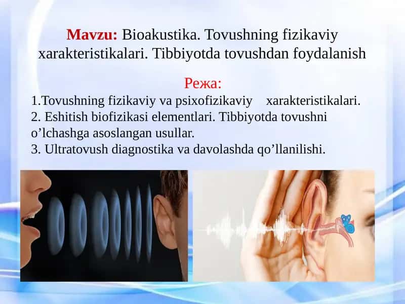 Bioakustika 1