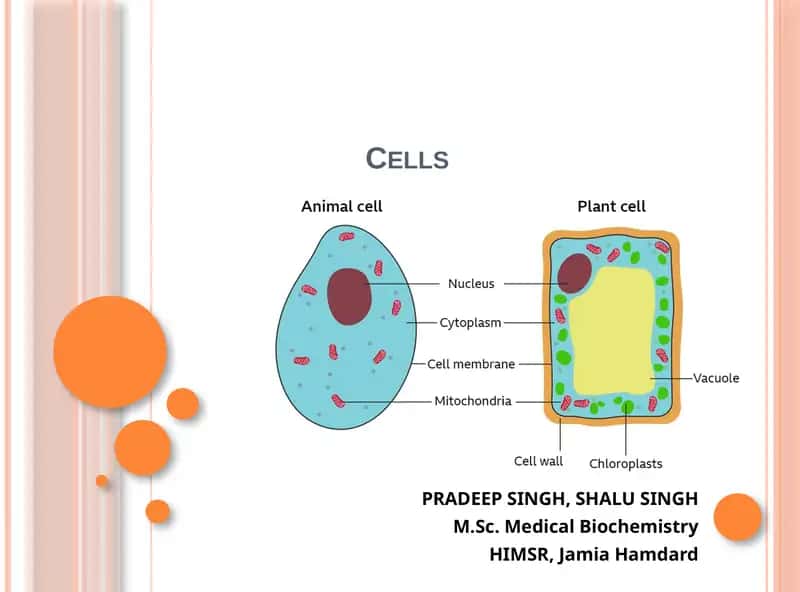 Cells 1