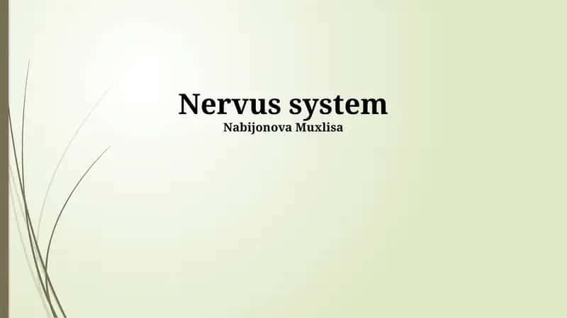 Nervus system 1