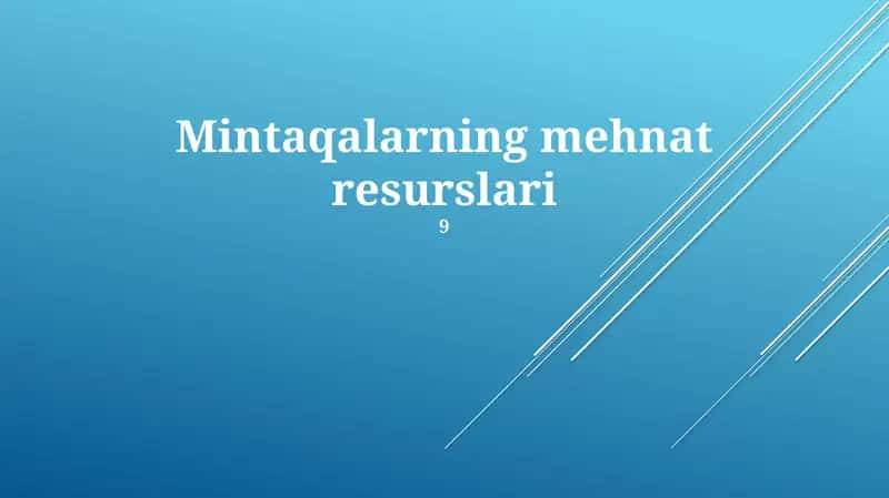 Mehnat munosabatlari va nizolar 1