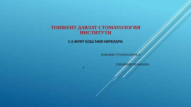 Ижуфт, ҳидлов нерви (nn. olfactorius) 1