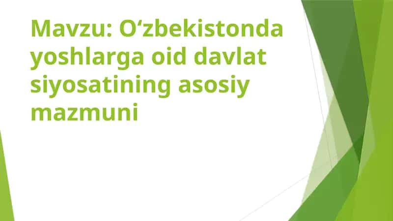Oʻzbekistonda yoshlarga oid davlat siyosatining asosiy mazmuni 1