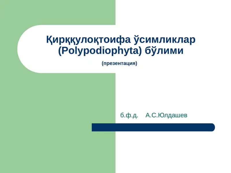Қирққулоқтоифа ўсимликлар (Polypodiophyta) бўлими(презентация) 1