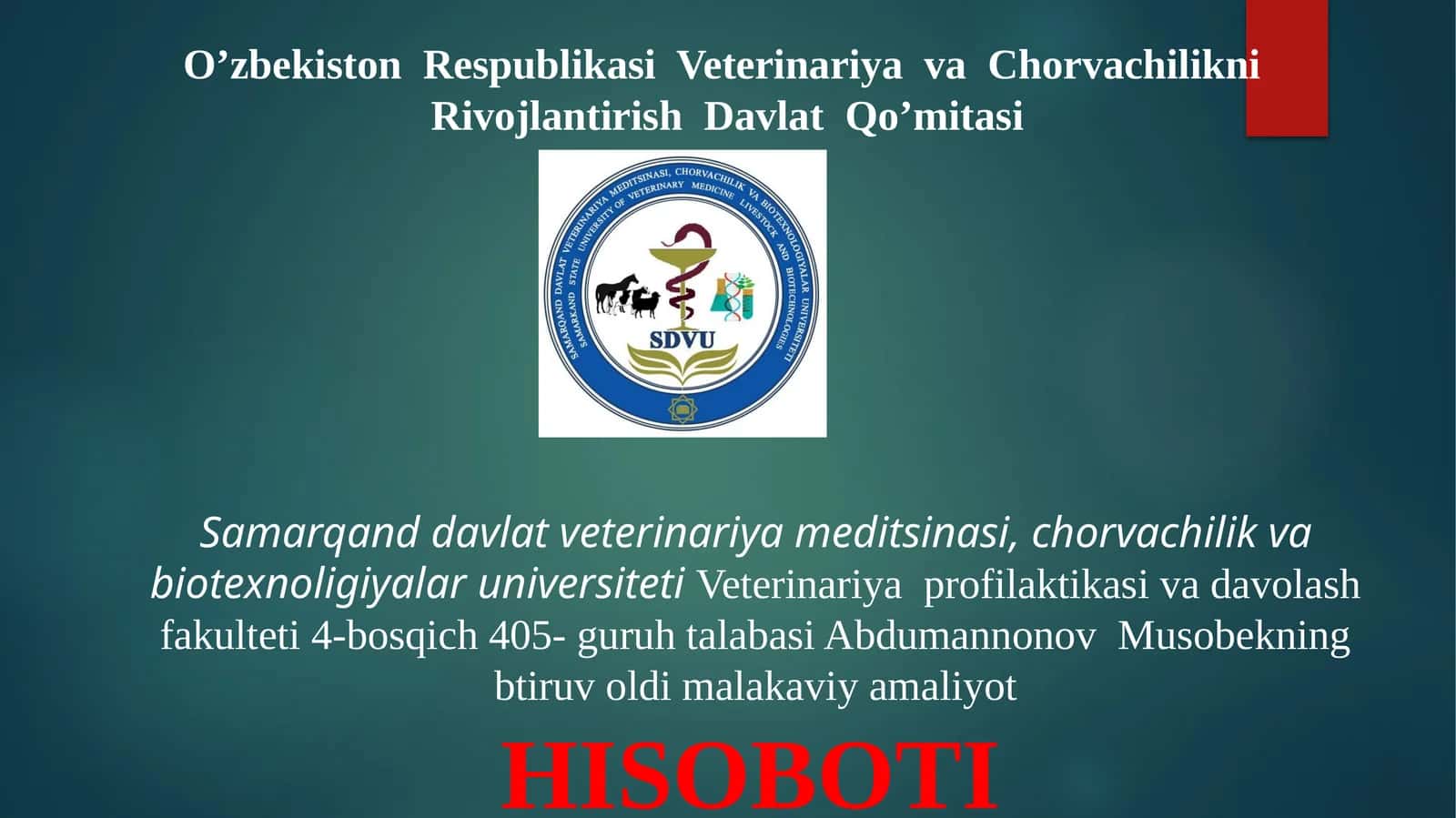 btiruv oldi malakaviy va amaliyot hisoboti 1