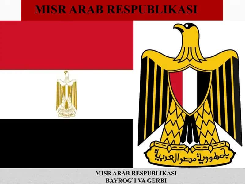 Misr arab respublikasi 1