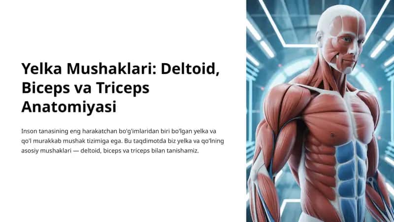 Yelka Mushaklari: Deltoid, Biceps va Triceps Anatomiyasi 1