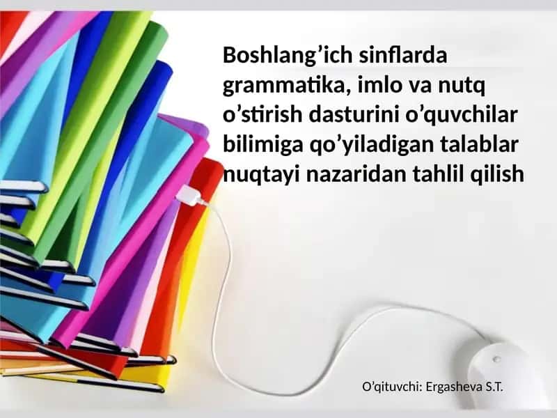 Davlat ta'lim standarti va dasturlari. Ona tillari 1