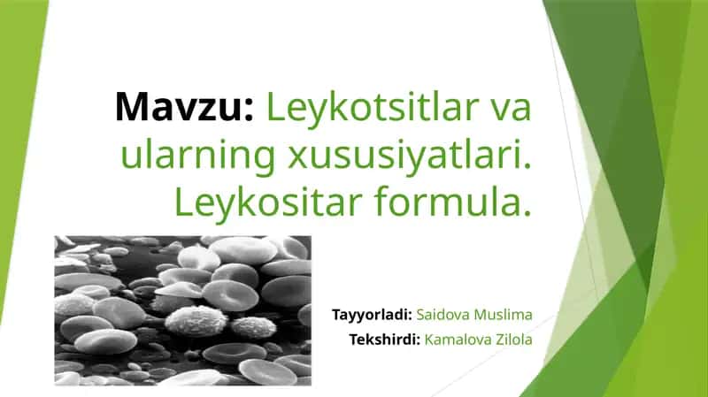 Leykotsitlar va ularning xususiyatlari 1