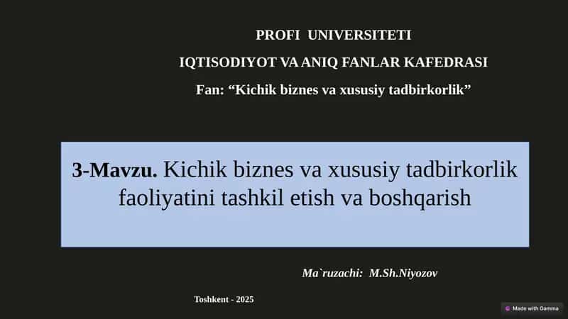 Kichikbiznesvaxususiytadbirkorlik 1