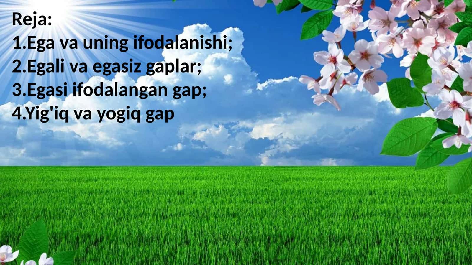 Ega va uning ifodalanishi 1