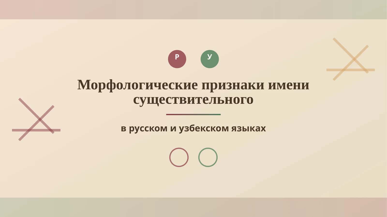 Морфологические признаки имени существительного 1