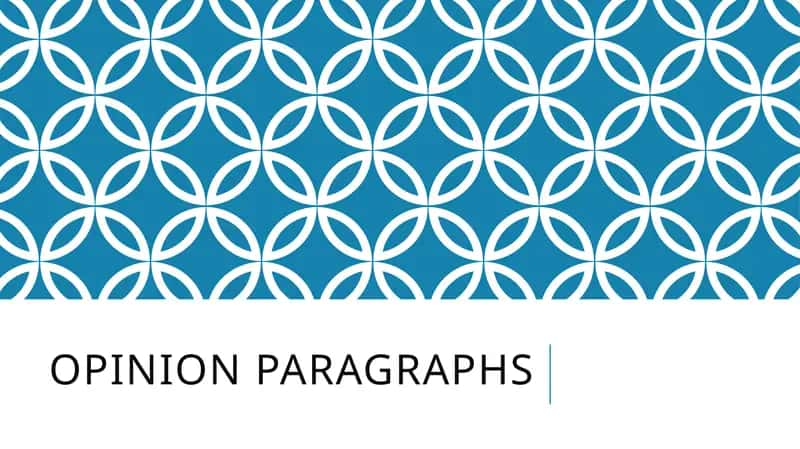 Opinion paragraphs 1