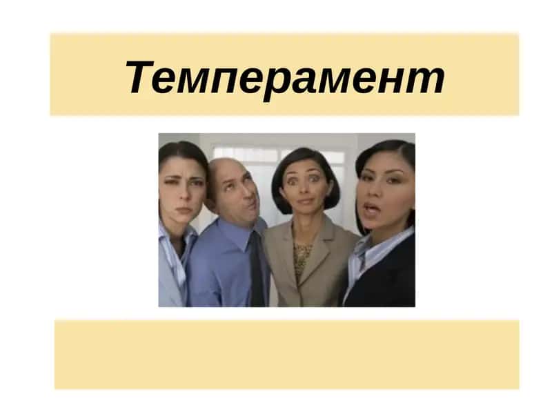 Темперамент 1