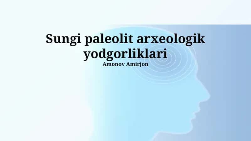 Sungi paleolit arxeologik yodgorliklari 1