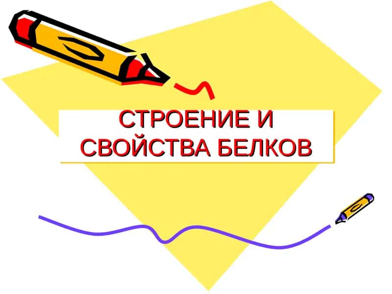 СТРОЕНИЕ И СВОЙСТВА БЕЛКОВ 1