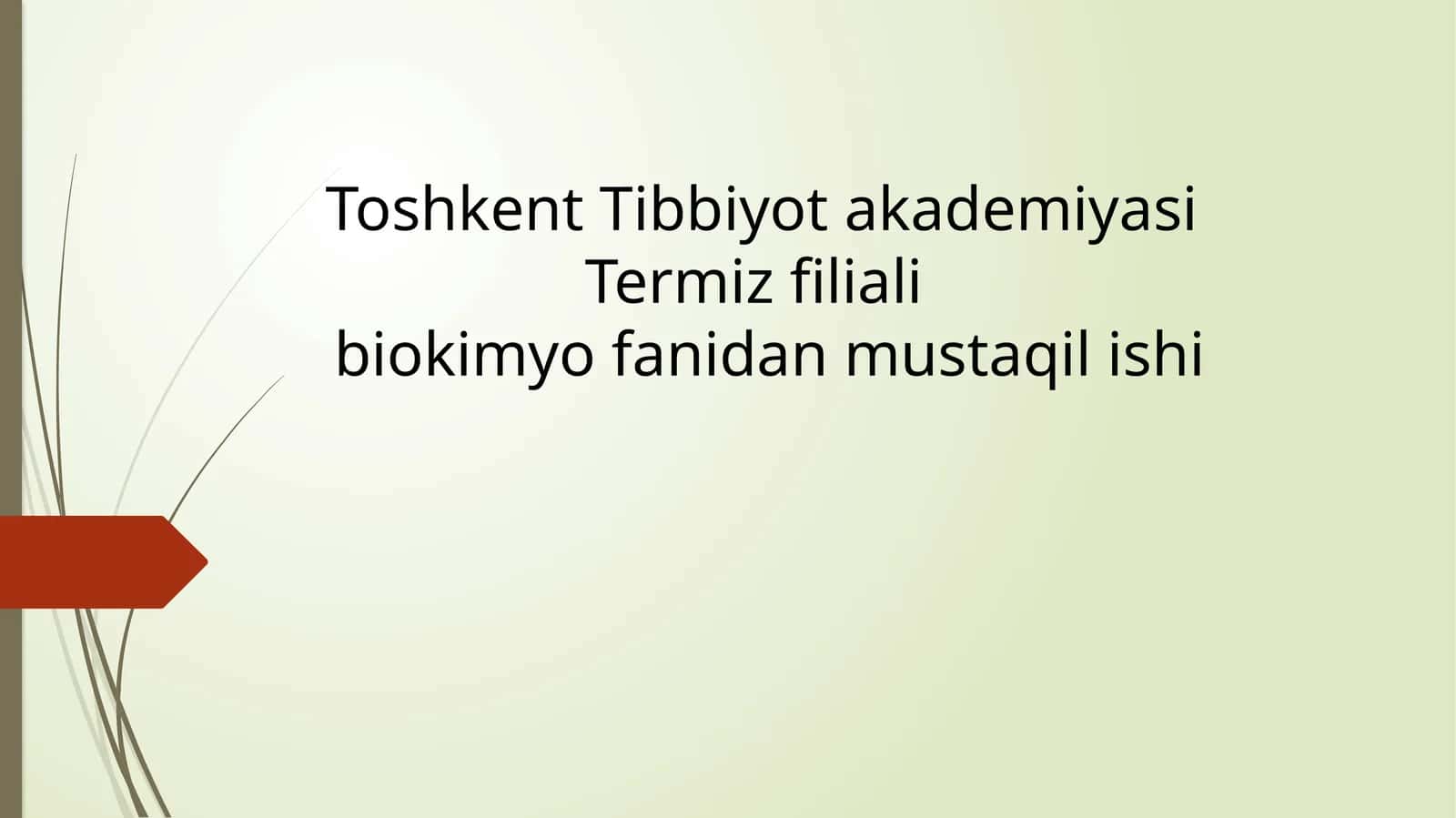 Toshkent Tibbiyot akademiyasi Termiz filiali 1