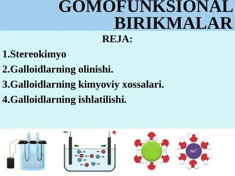 GOMOFUNKSIONAL BIRIKMALAR 1