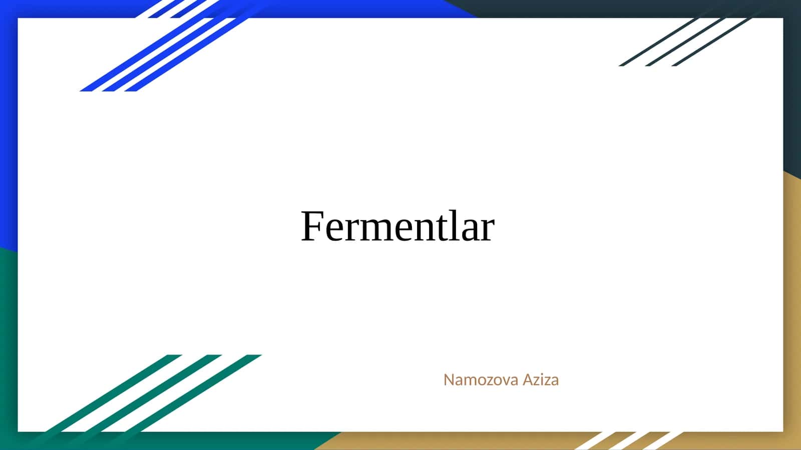Fermentlar 1