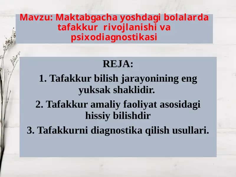 Maktabgacha yoshdagi bolalarda tafakkur rivojlanishi va psixodiagnostikasi 1
