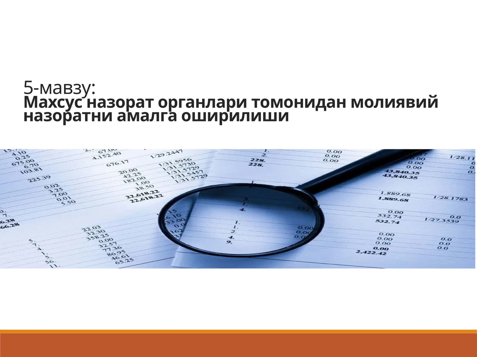 Махсус назорат органлари томонидан молиявий назоратни амалга оширилиши 1