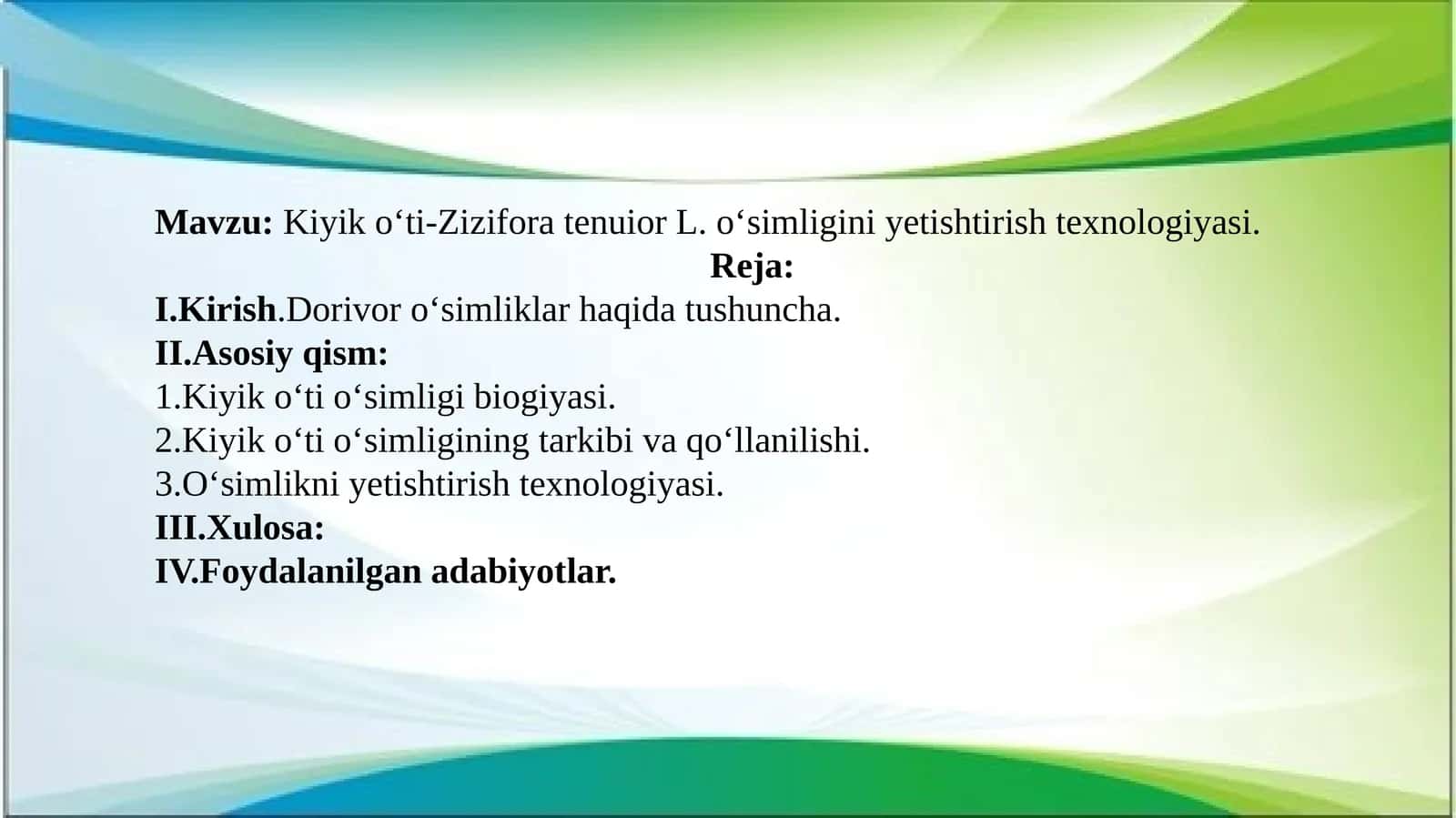 Kiyik oʻti-Zizifora tenuior L. oʻsimligini yetishtirish texnologiyasi 1