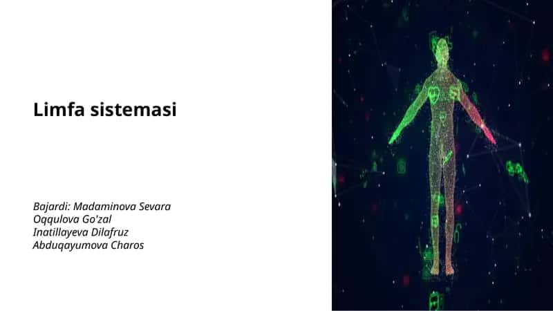 Limfa sistemasi 1