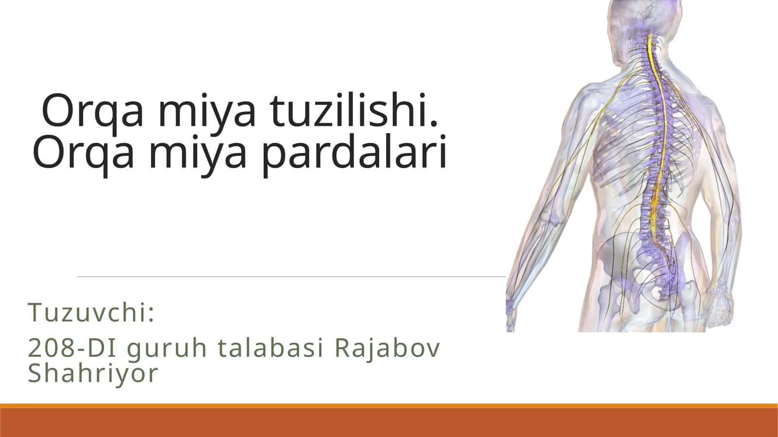 Orqamiyatuzilishi.Orqamiyapardalari 1