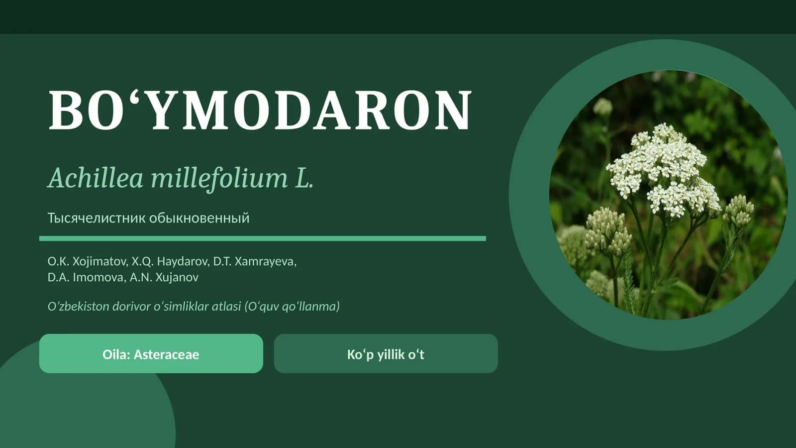 BO‘YMODARON 1