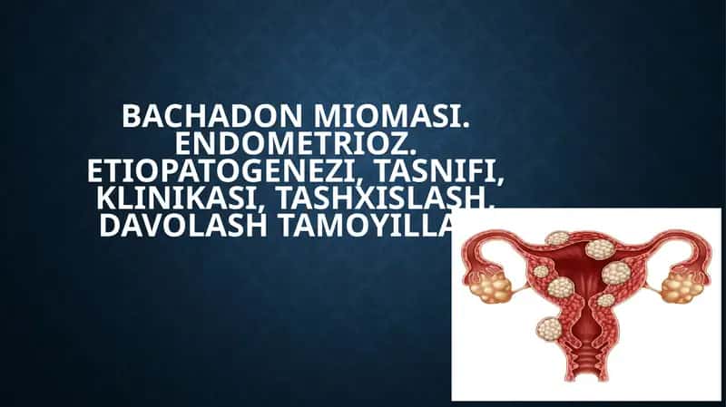 Bachadonmiomasi 1