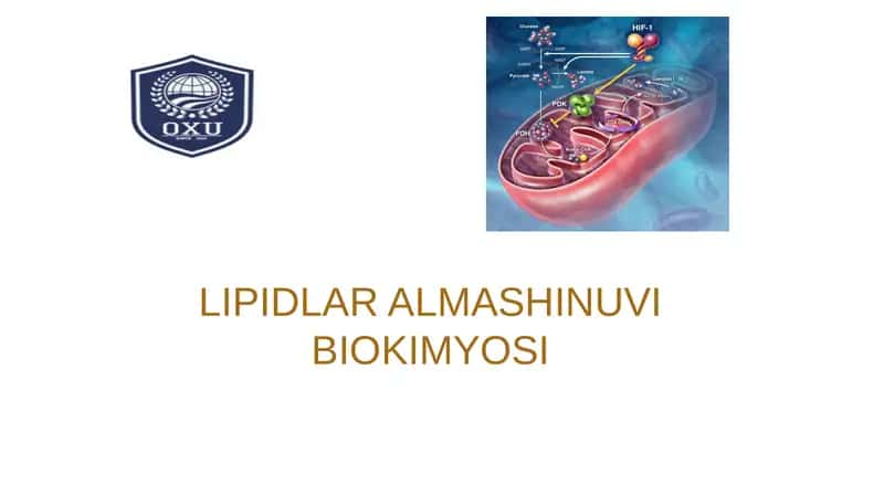 LIPIDLAR ALMASHINUVI BIOKIMYOSI 1