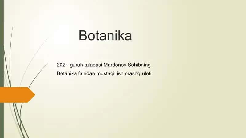 Botanika, Monoblafarid namolarning o'ziga xos hususiyati, tuzilishi va ko'payishi. 1