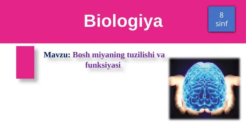 Bosh miyaning tuzilishi va funksiyasi 1