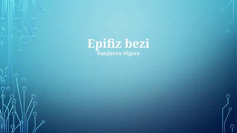 Epifiz bezi 1