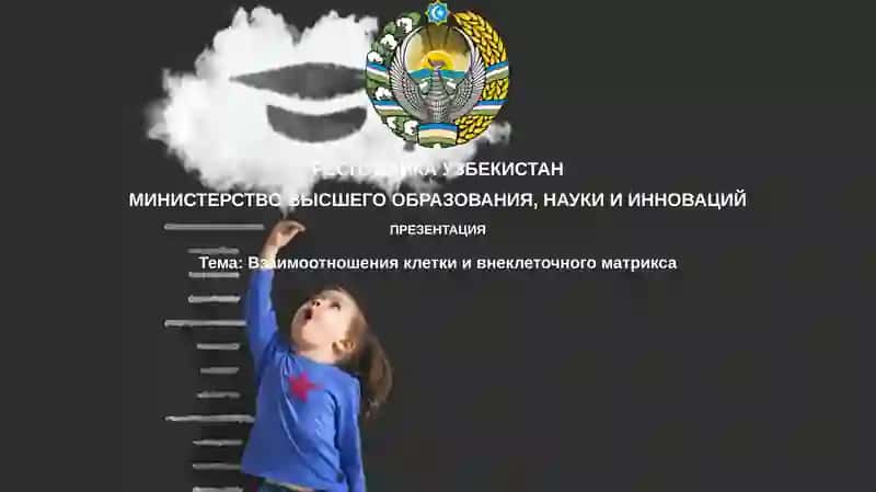 Взаимоотношения клетки и внеклеточного матрикса